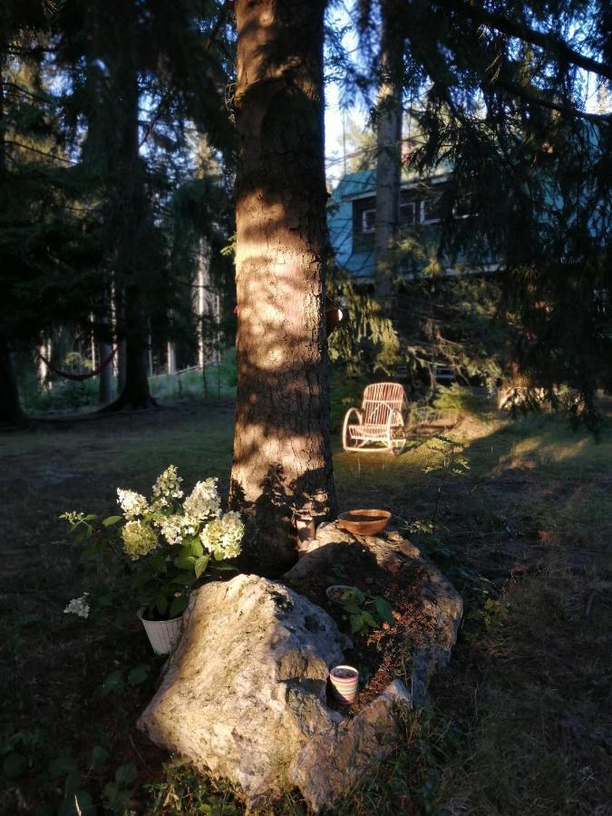Dame Vam Pokoj - 4 Pokoje Se Sdilenou Kuchyni, Kapacita Max 9 Osob Харачов Екстериор снимка